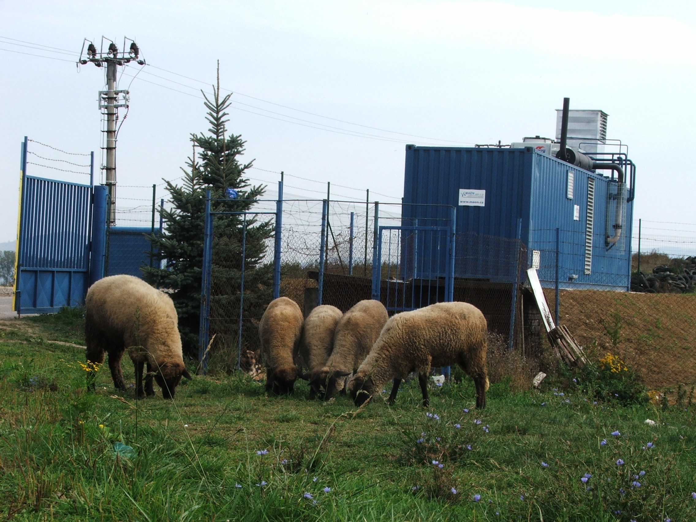 KJ Zvolenská Slatina